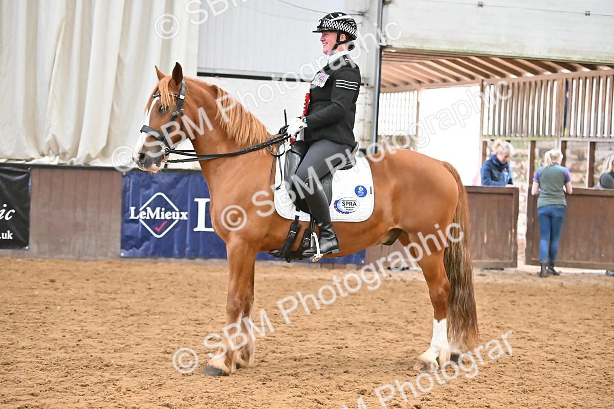 SBM_001478 - Class 19,20 - Ridden Native, Foreign Breeds & Warmbloods