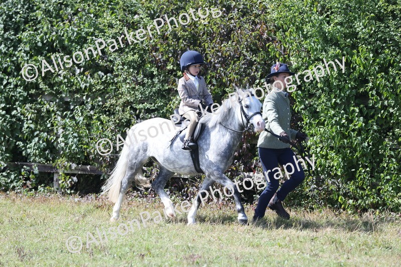 20250831-2626 - Class 17 - Lead Rein Pony