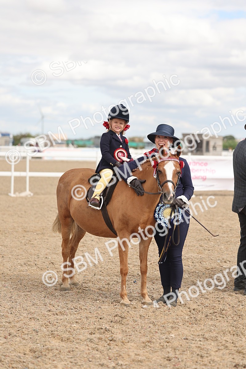 SBM_15829 - Class 309 - Lead Rein Pony