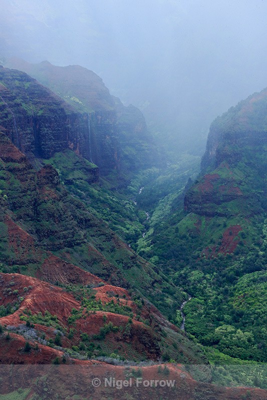 Mist descends, Waimea Canyon, Kauai - Hawaiian Islands, USA
