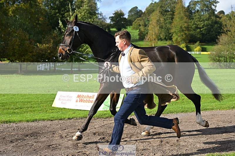 241023-130902-00101 - 005-Matthew.Heath-DIEGOS.ROSE