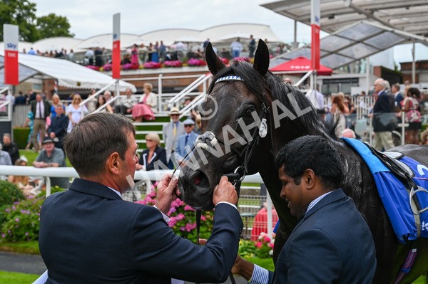 270724-Race 1-Alflaila-9505 - Race 3 3.15pm Sky Bet York Stakes