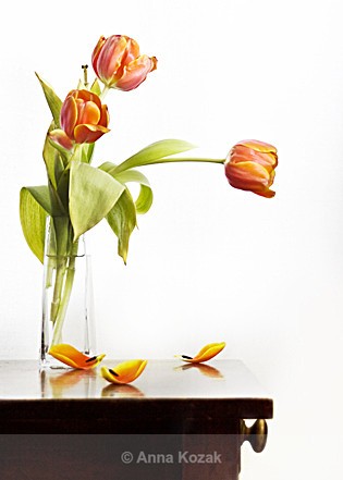 Red tulips, brown table - Flowers