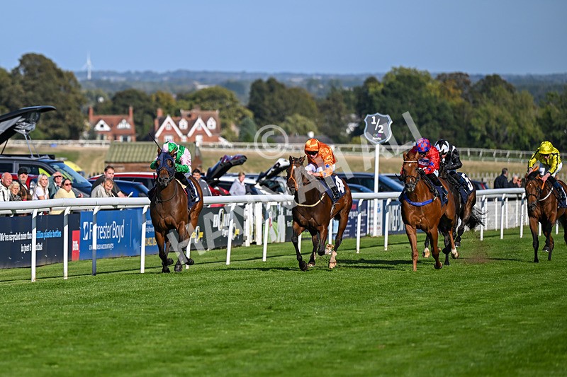 230925-Race 4-Elegant Erin-0641 - Race 4