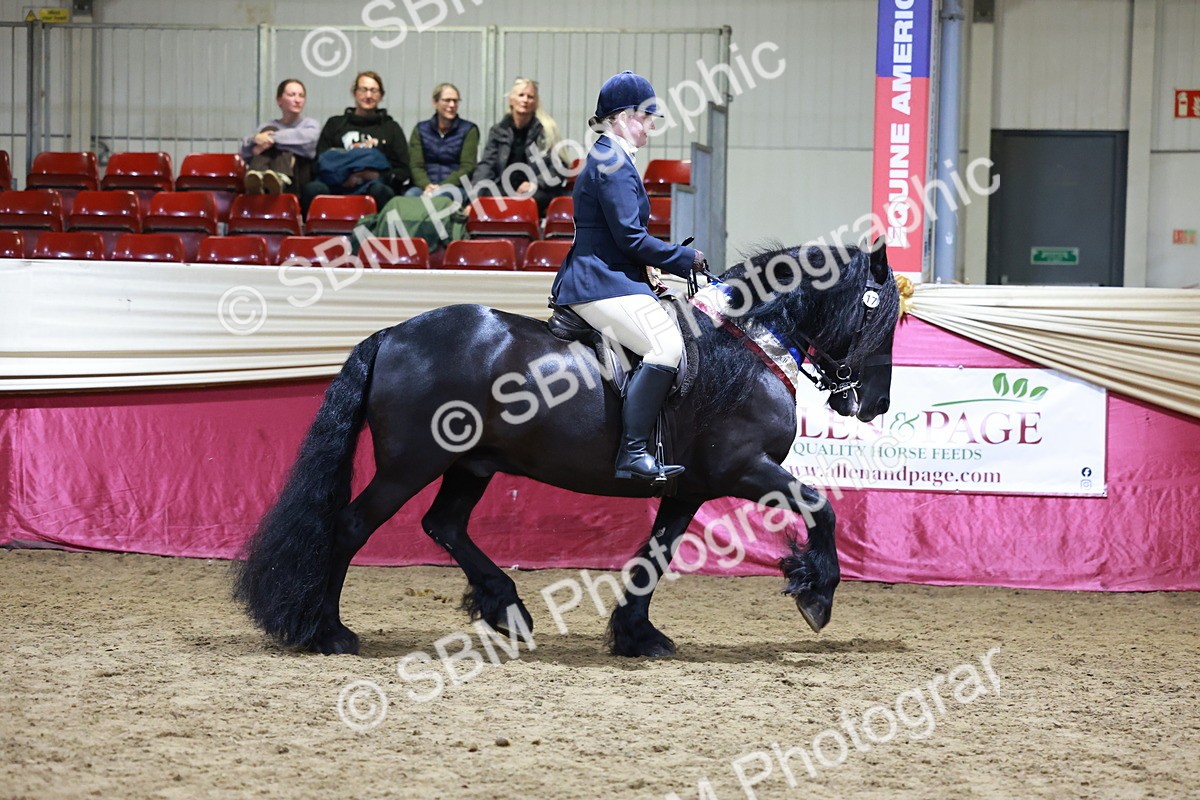 SBM_20921 - Class M - Equitation Champ