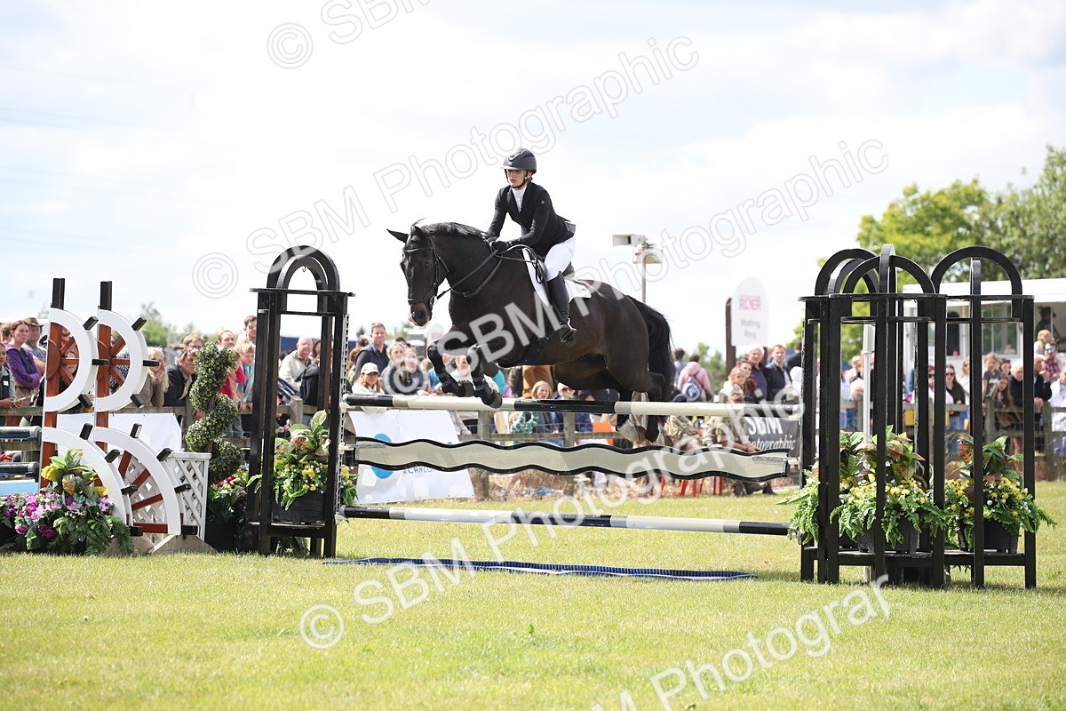 SBM_17433 - Class 208 - Senior Foxhunter 1.20m Open
