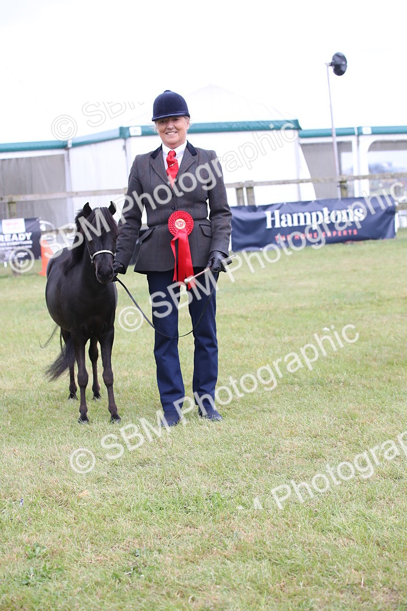 SBM_03536 - Class 23-25 - British Miniature Horse of the Year
