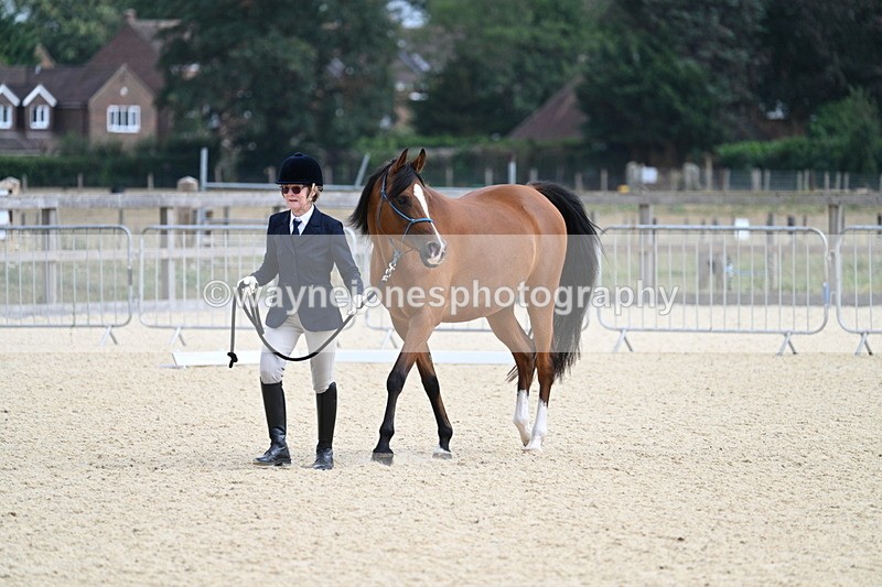WJ7_1813 - In Hand