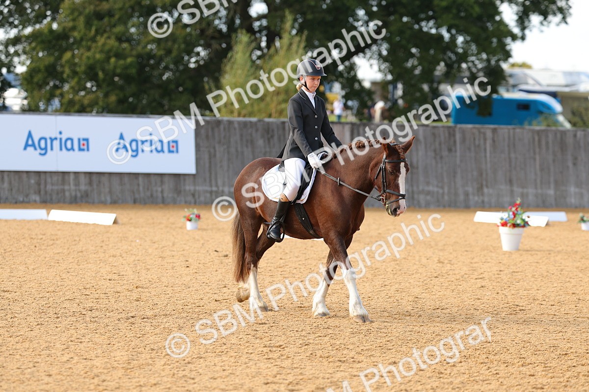SBM_49645 - D22 - Junior Championship - Intro B