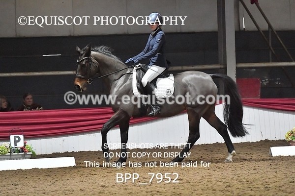 BPP_7952 - ELEM TEST 6