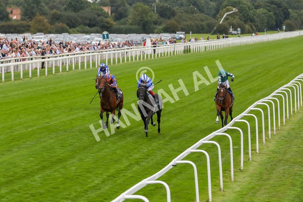 230823-Race 4-Mostahdaf-4277 - Race 4 3.35pm Juddmonte International Stakes