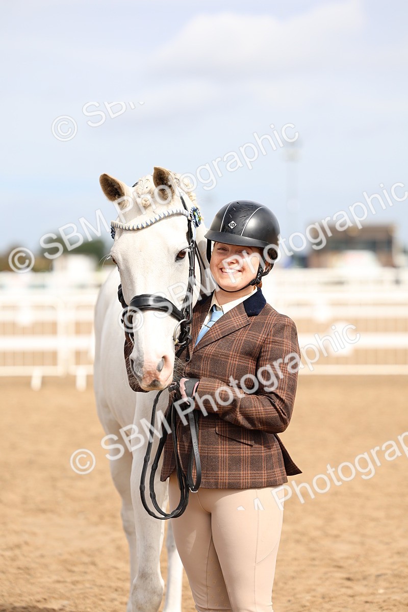 SBM_01870 - Class 18 - Handsomest Gelding - IH or Ridden