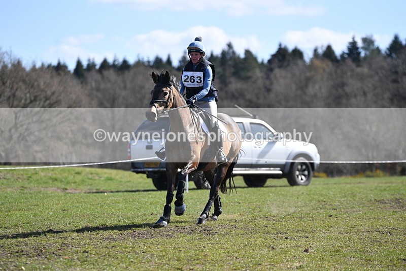 WJ5_7860 - Time 12:56 to 13:28