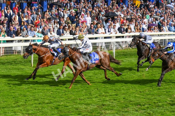 260823-Race 5-Summerghand-Albasheer-0771 - Race 5 Sky Bet Constantine Handicap