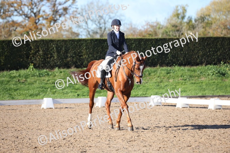 20251102-0517 - Class 3 - Novice 5