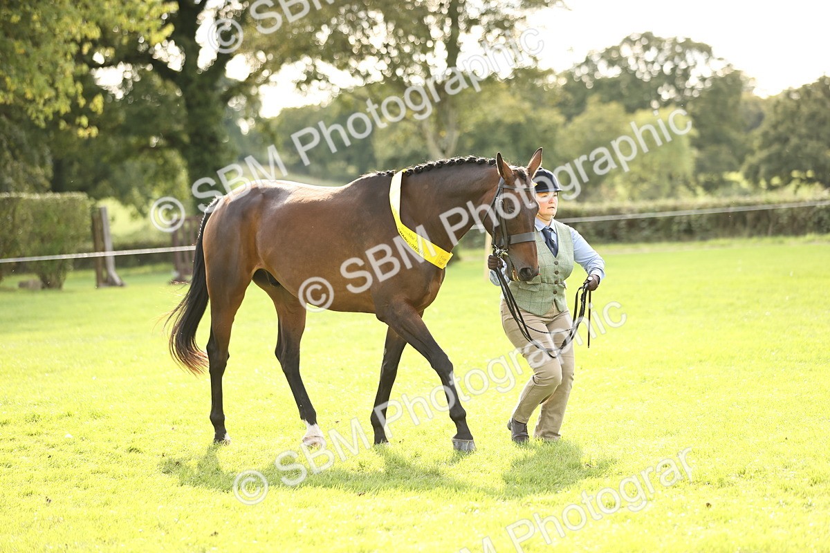 SBM_26307 - S5 - Novice & Newcomers In Hand