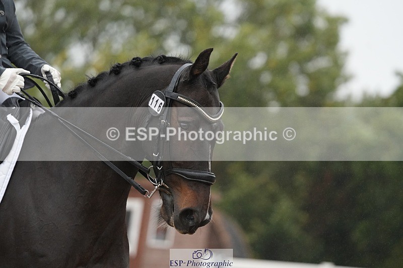 250907-142519-07763 - 116-Louise.CupittEnergiek.N