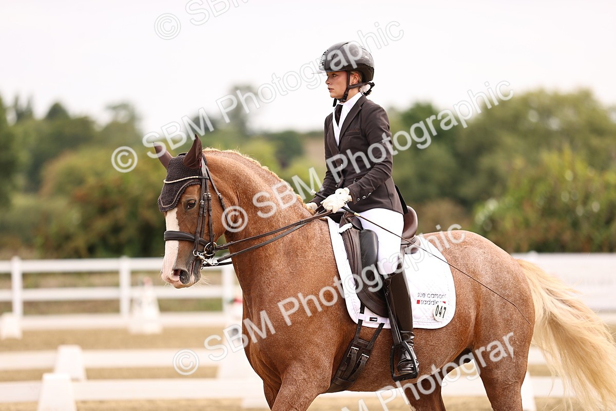 SBM_011533 - Class 1 - Medium 5