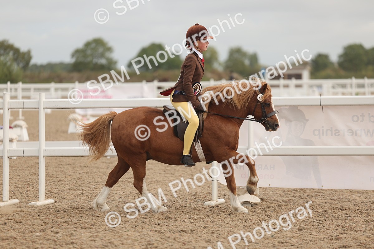 SBM_02050 - Class 14 - Ridden M&M Wildcard