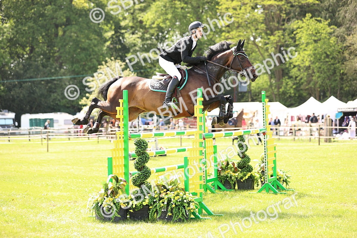 SBM_03146 - Class 201 - British Horse Feedds Speedi Beet HOYS Grade C