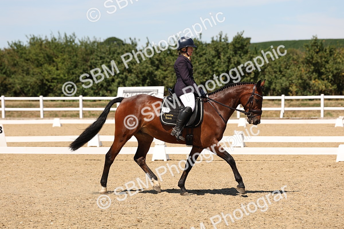 SBM_002890 - Elementary 4