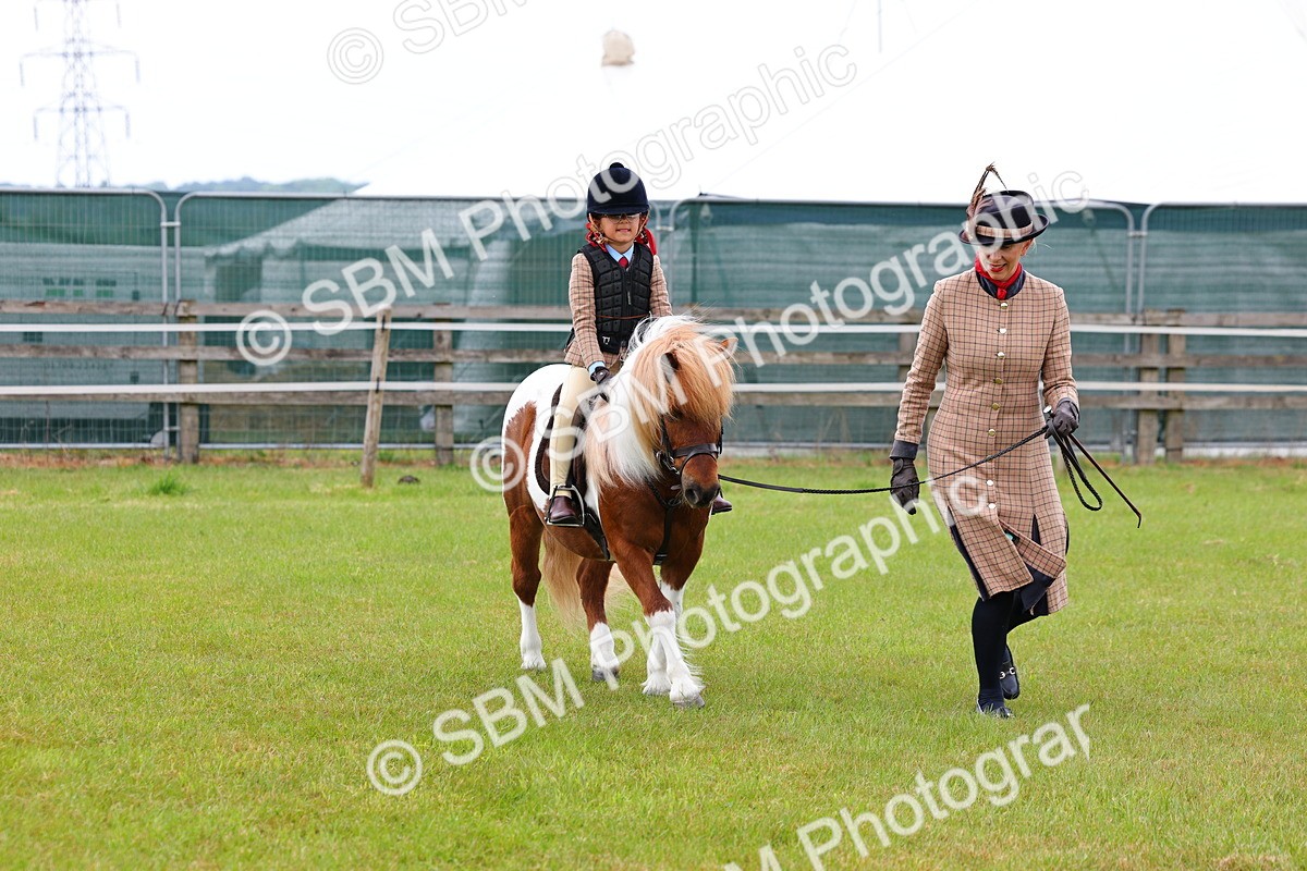 SBM_08245 - Class 42-43 - LIHS BSPS Heritage Working Sports Pony