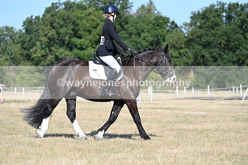 WJ7_9137 - Time 09:27 to 10:03