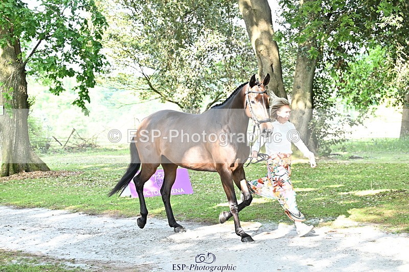 250521A-165817-01440 - C-275-Kat.Raybould-ROYAL.CATCH