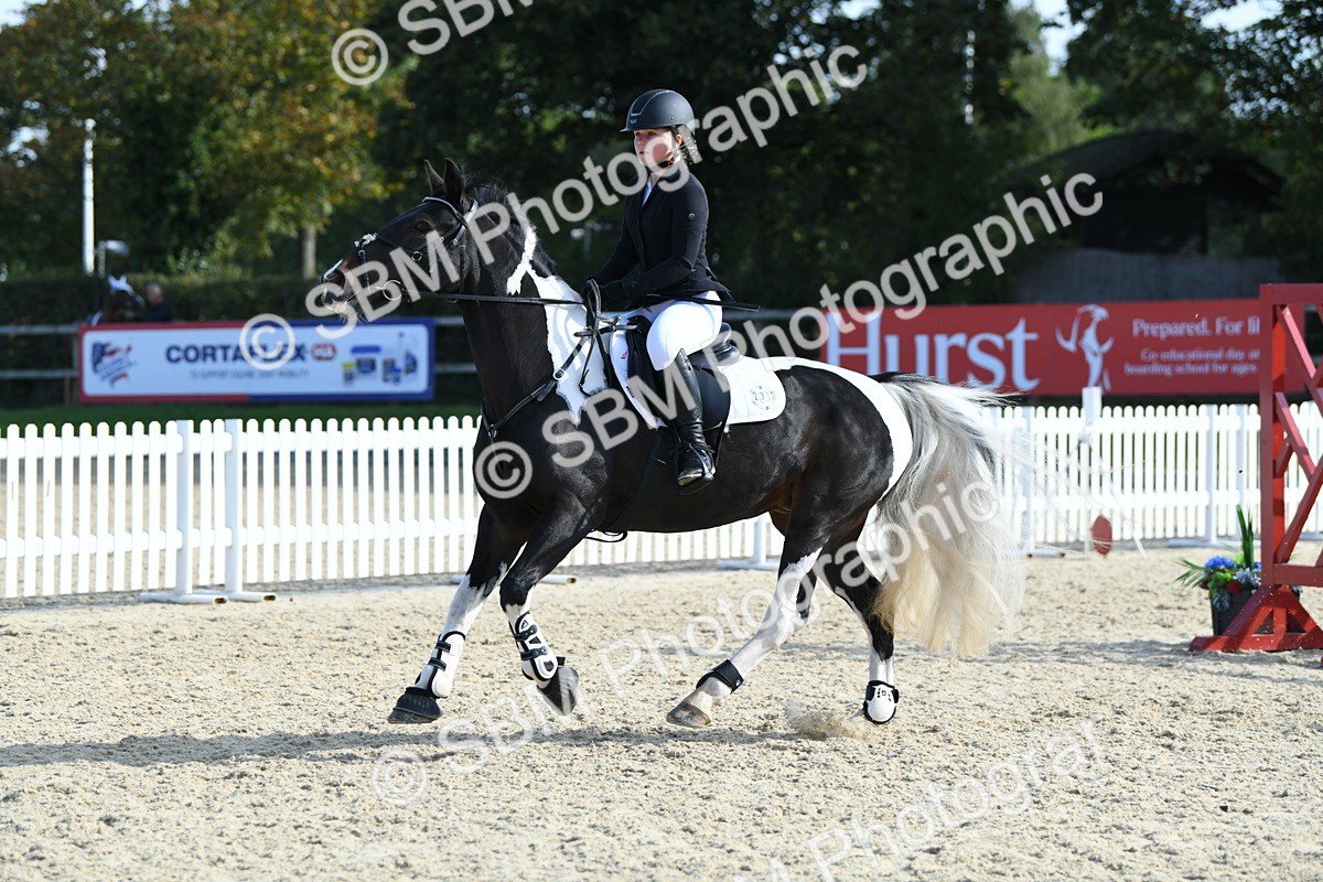 SBM_60742 - j25 - Junior Horse 80cm Championship
