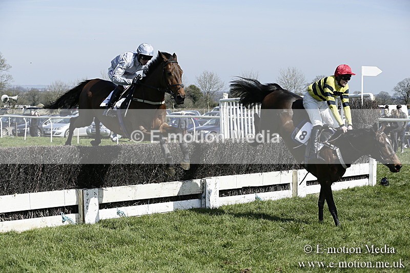 PtP 260317 56 - Mendip Farmers Point-to-Point Ston Easton 26/03/17