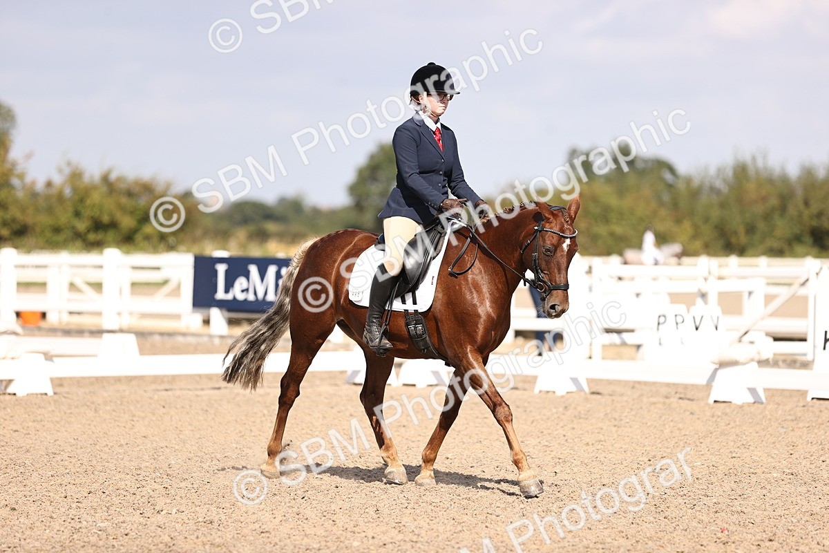 SBM_03563 - CLass 35 Intro 3