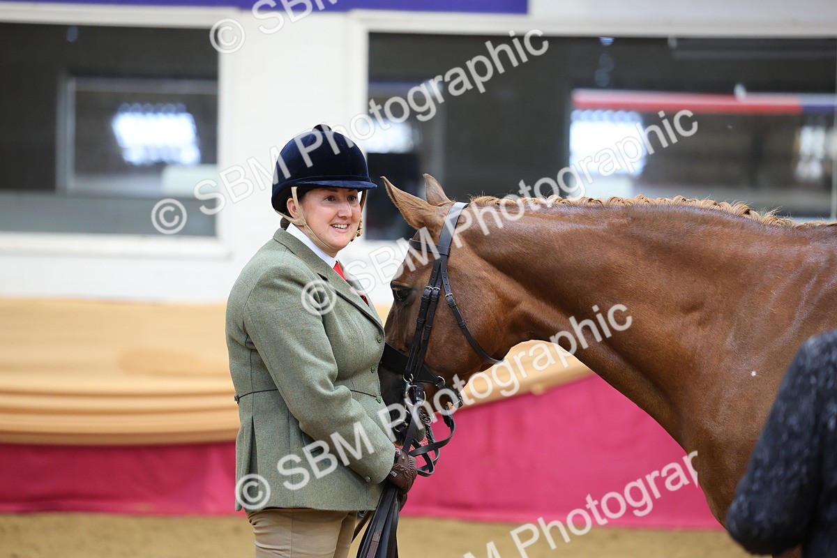 SBM_22749 - Class 903 - Supreme Final - IH Pre Vet