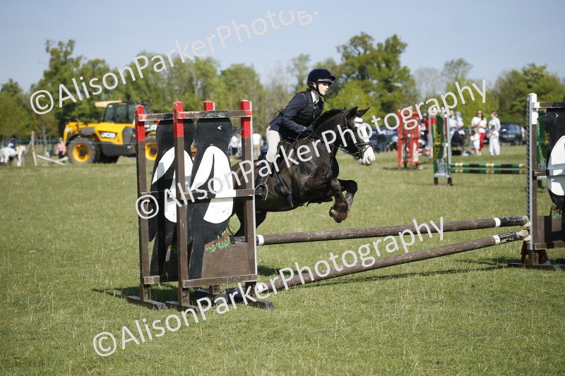 20250427-2032 - Class 13 - Novice Jumping 60cm