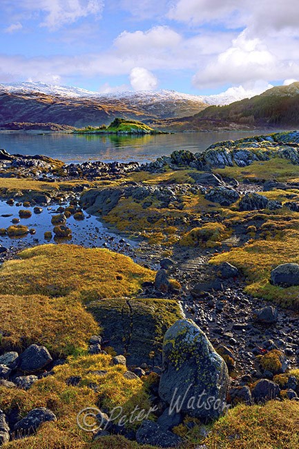 Loch Sunart Scottish Highlands - Land