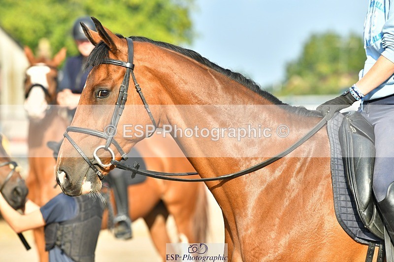 230817-083941-02439 - Stable Shots