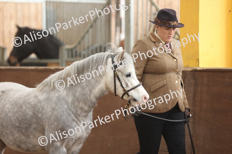 20251109-0586 - Class 22 - Geldings 4 Years and over