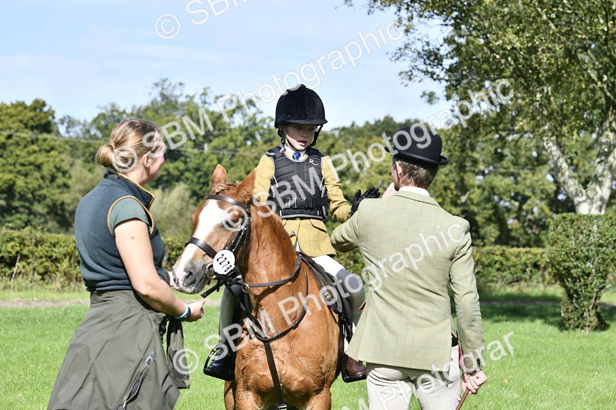 SBM_38235 - S31 - Novice & Newcomer Working Hunter Pony