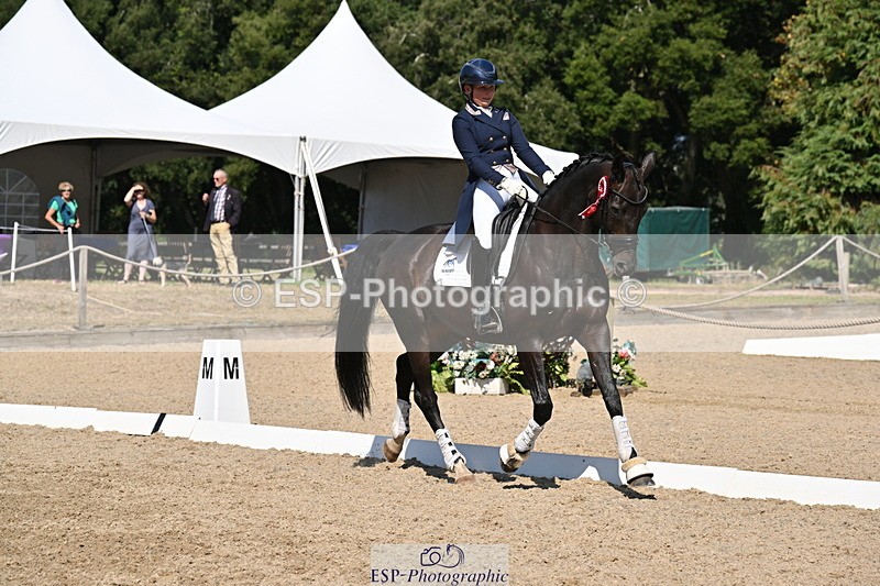 250810A-152908-08055 - Intermediate I GOLD Presentations