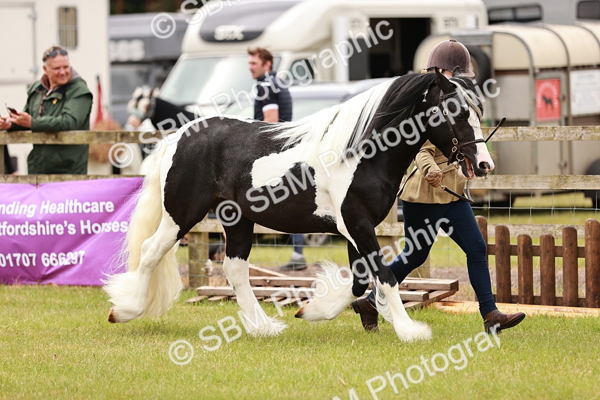 SBM_04594 - Class 5-8 - BSPA In hand