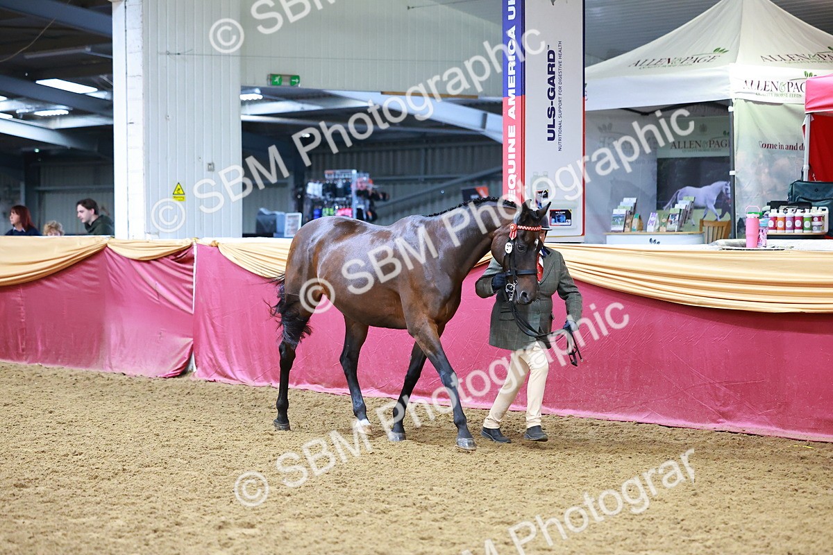 SBM_16139 - Class 901 - Sup Final - IH Diamond