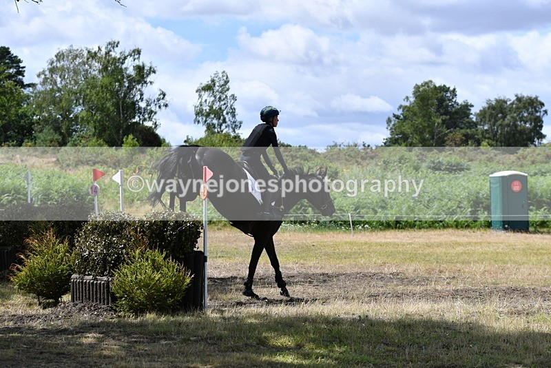 WJ5_9805 - Time 12:03 to 12:29