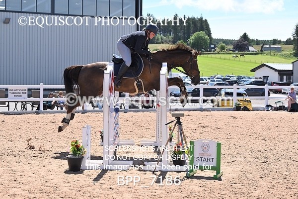 BPP_7186 - CLASS 14 FRI Nupafeeds Senior Dicovery/1m open