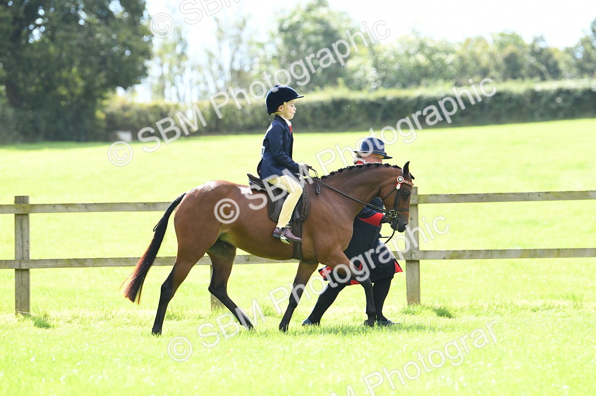 SBM_41171 - S19 - Lead Rein Show & Show Hunter Pony