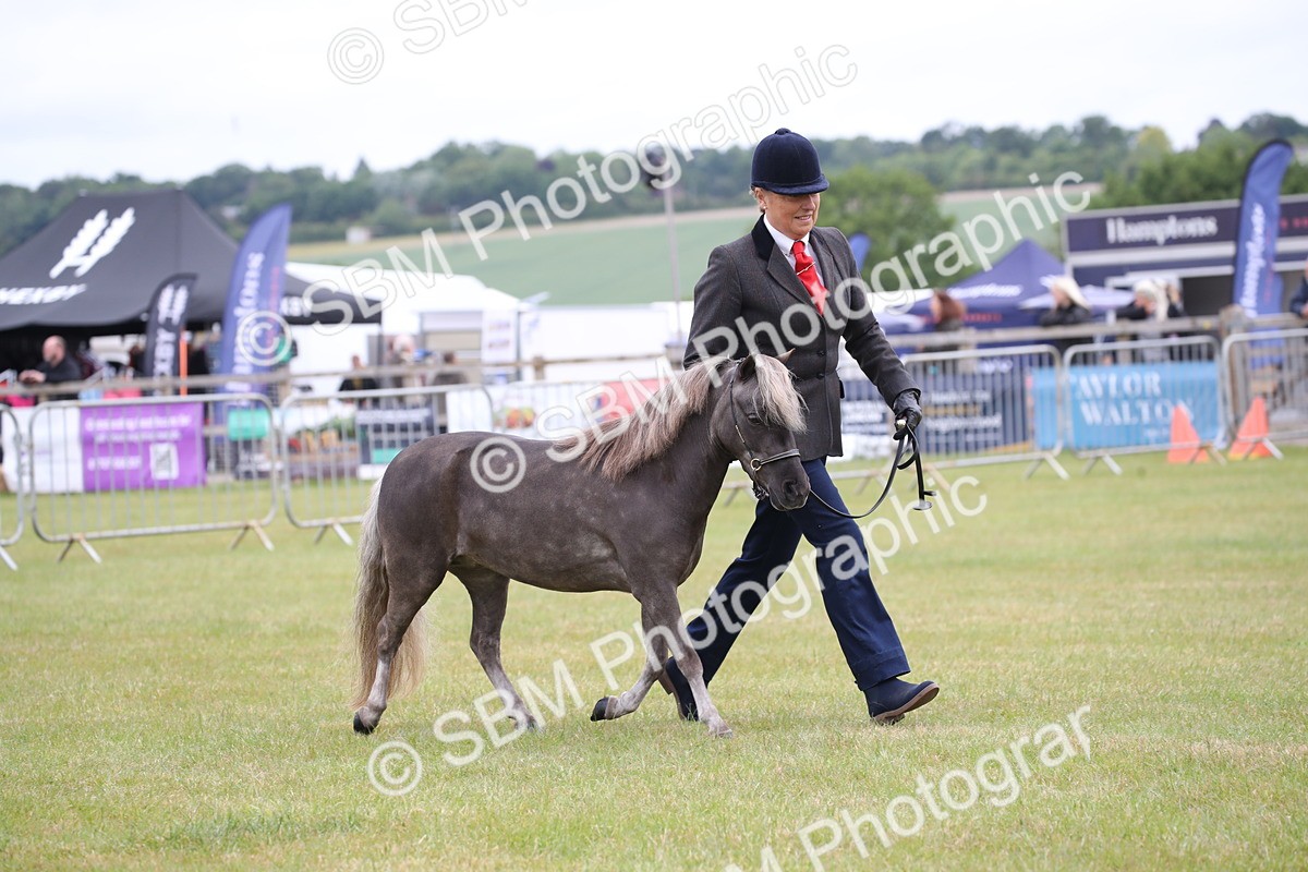 SBM_03943 - Class 23-25 - British Miniature Horse of the Year