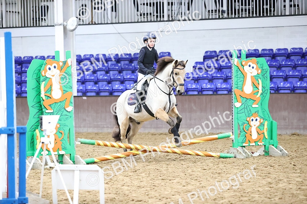 SBM_000115 - Class 2 - The Rug Lady 40cm Area 12 Championship Qualifier