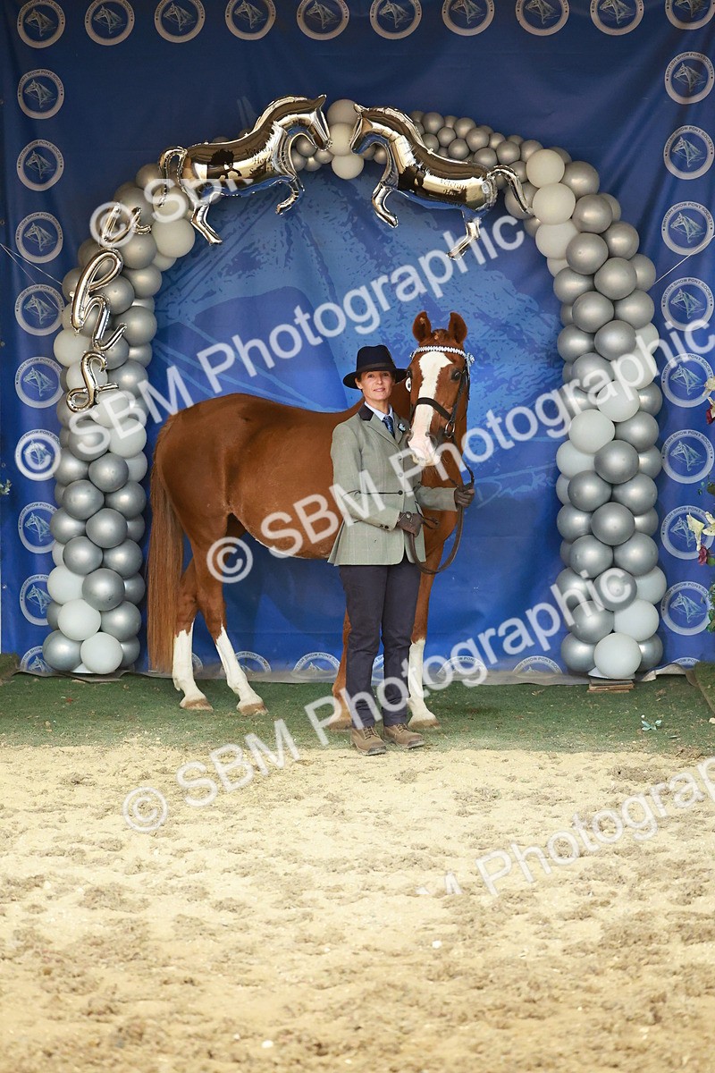 SBM_13716 - Class 104 - IH  Costume