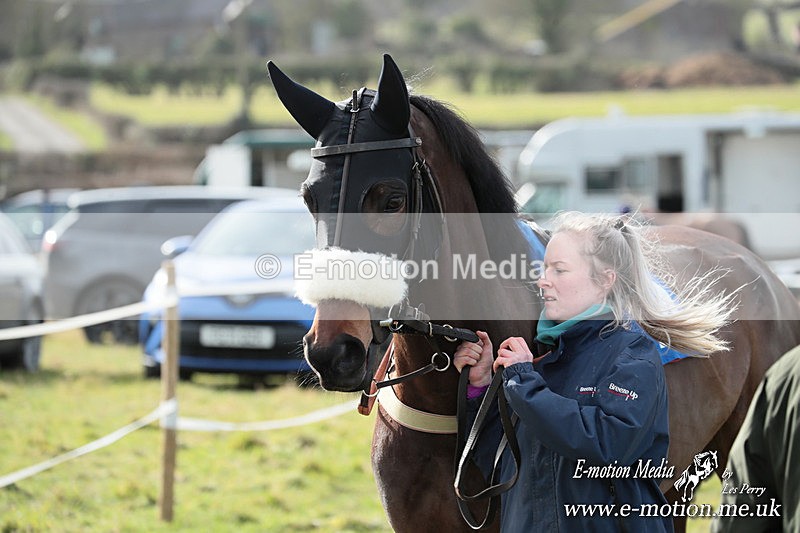 PtP 220225 409 - Kimblewick Point-to-Point  Kingston Blount 22/02/25