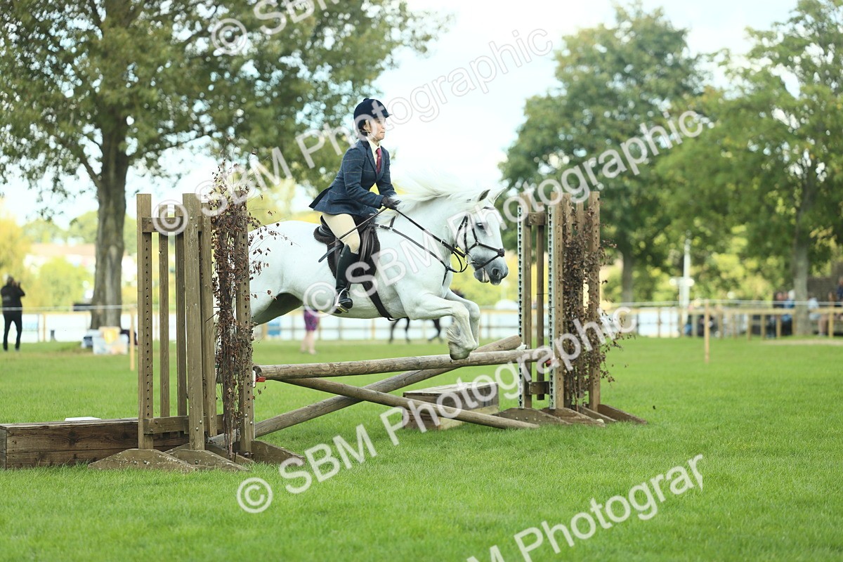 SBM_42919 - S30 - M&M Working hunter Pony