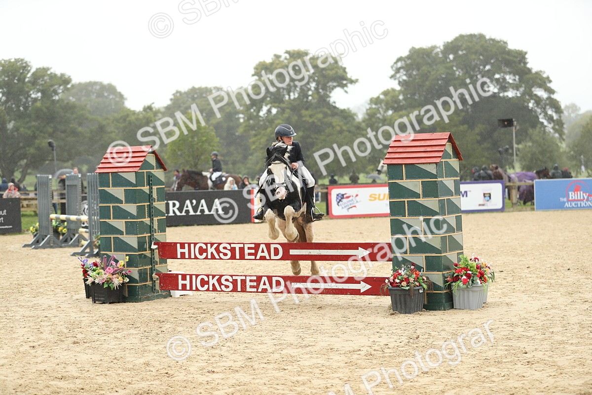 SBM_73775 - J16 - Junior Pony 75cm Championship