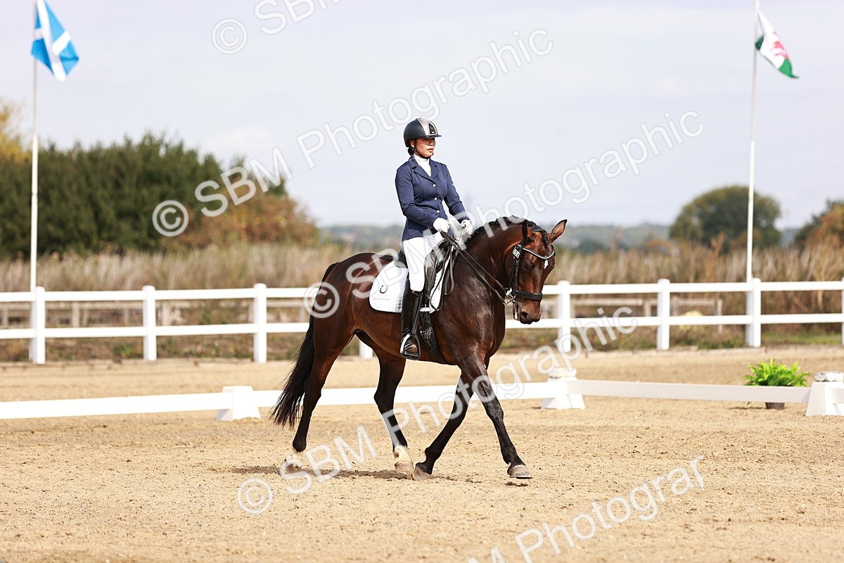 SBM_017579 - Class 11 - Advanced Medium 6